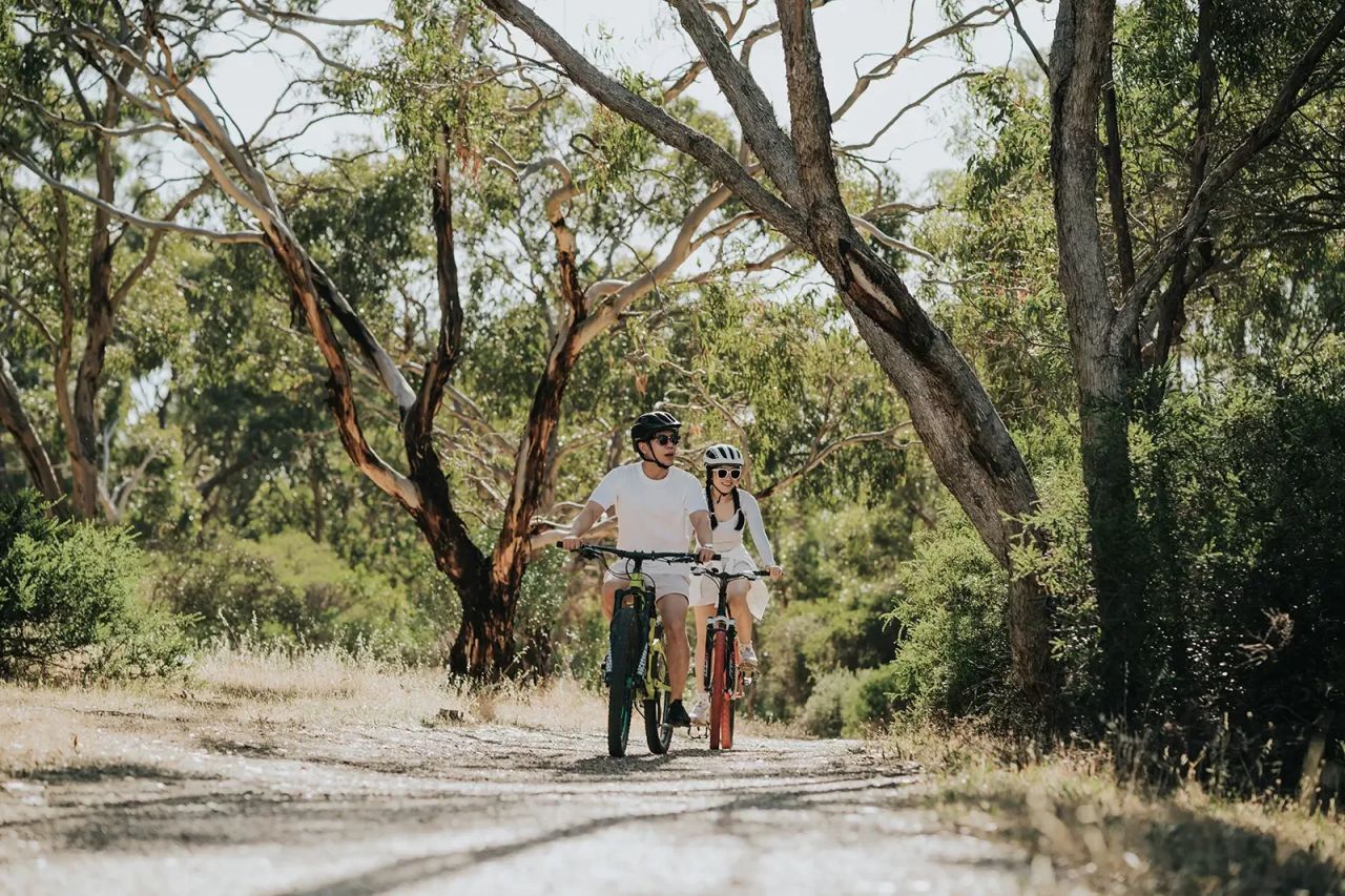 Riding mountain bikes though national park