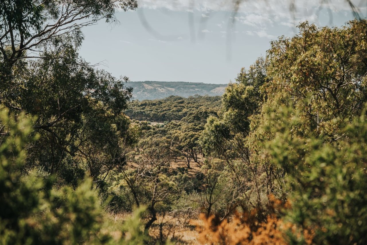 RSA Noarlunga Day 1 156 WEB